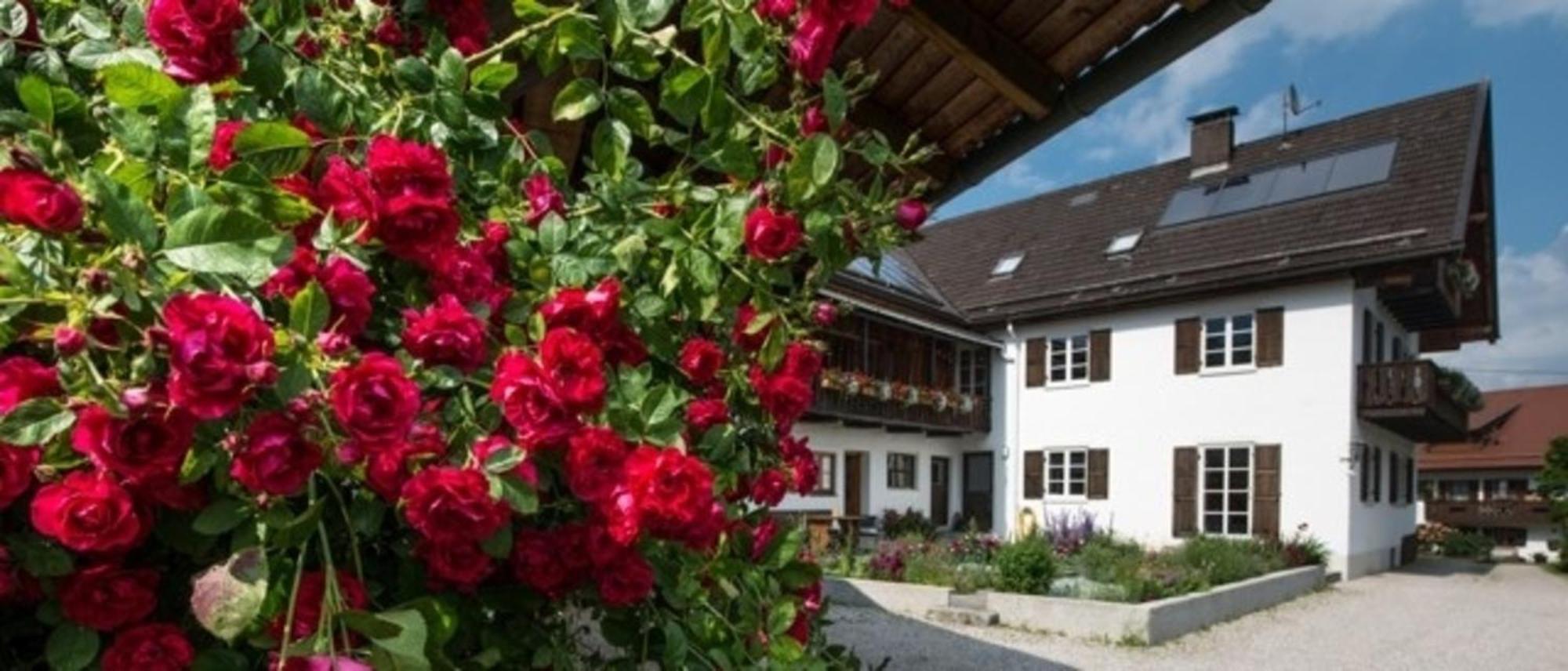 Ferienwohnung Lacherhof Seehausen am Staffelsee Buitenkant foto