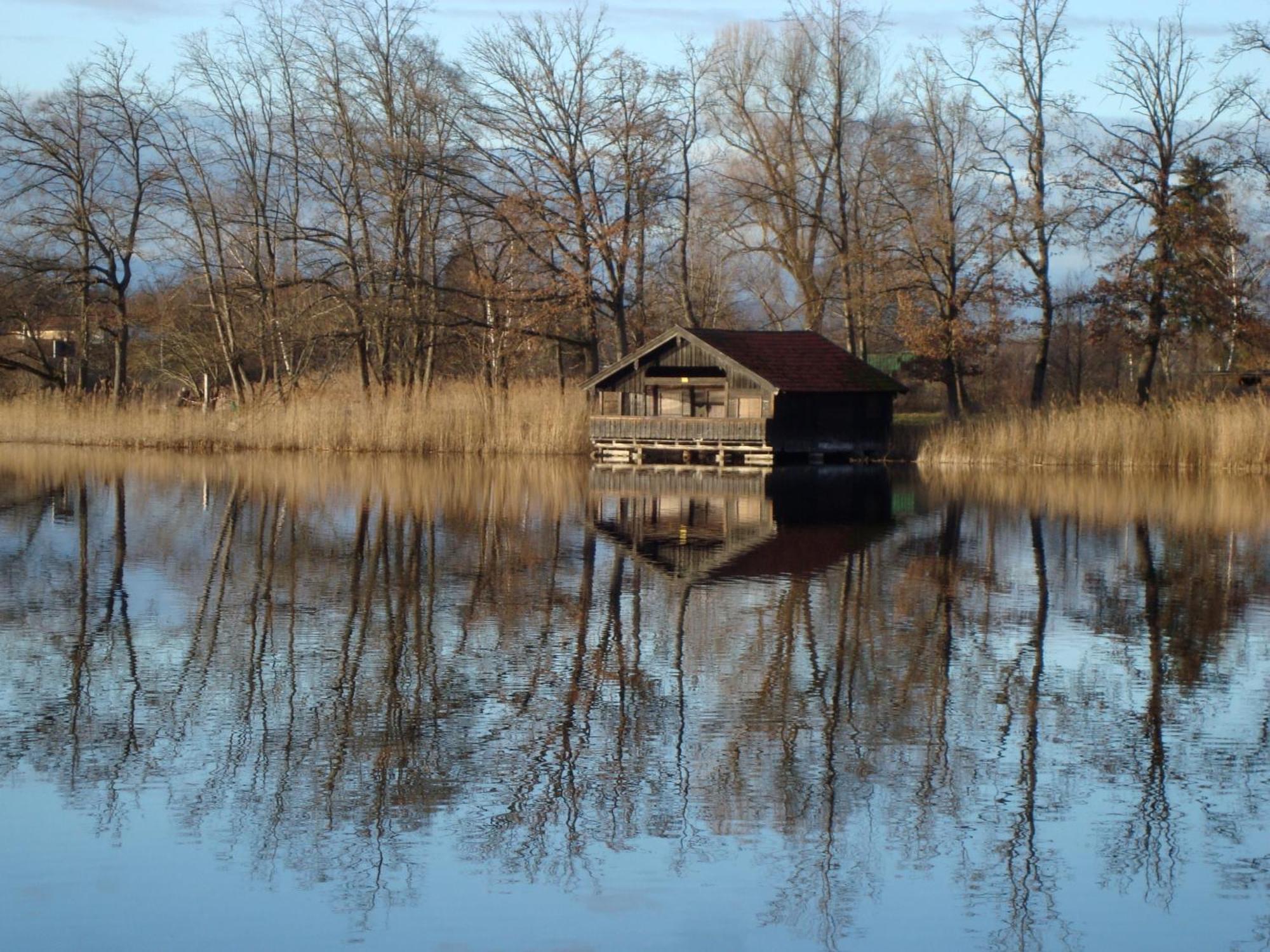 Ferienwohnung Lacherhof Seehausen am Staffelsee Buitenkant foto